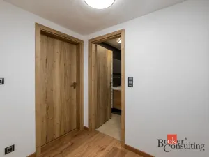Prodej bytu 4+kk, Plzeň - Lobzy, Lobezská, 120 m2