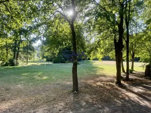 Prodej pozemku pro bydlení, Nevojice, 216 m2