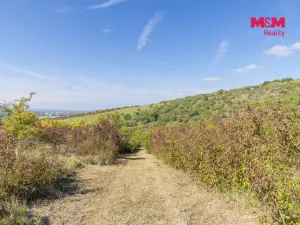 Prodej zahrady, Židlochovice, 3718 m2