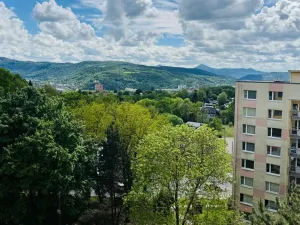 Pronájem bytu 3+1, Ústí nad Labem, Pincova, 83 m2