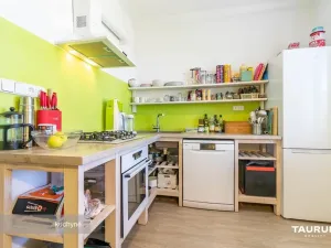 Pronájem bytu 2+1, Plzeň, Brojova, 55 m2