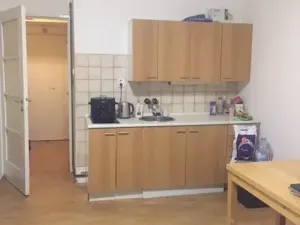 Pronájem bytu 1+kk, Praha - Podolí, Na dolinách, 30 m2