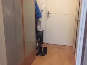 Pronájem bytu 1+kk, Praha - Podolí, Na dolinách, 30 m2