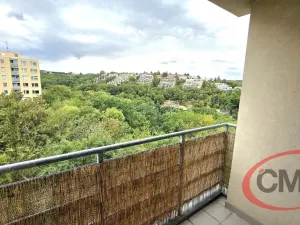 Pronájem bytu 2+kk, Praha, Černochova, 48 m2