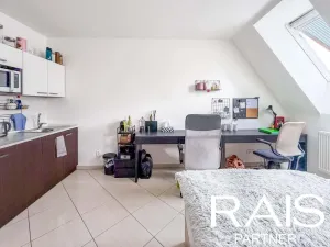 Prodej bytu 1+kk, Brno - Husovice, Svitavská, 30 m2