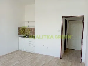 Pronájem bytu 1+kk, Tábor, Šafaříkova, 20 m2