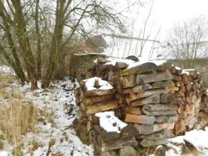 Dražba rodinného domu, Blažejov, 666 m2