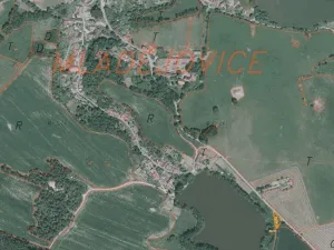 Dražba louky, Čejetice, 620 m2
