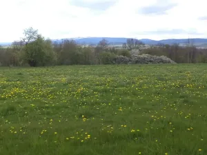 Dražba louky, Staré Město, 10063 m2
