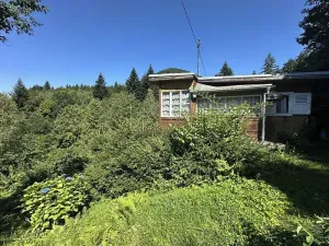Prodej chaty, Ostravice, 55 m2