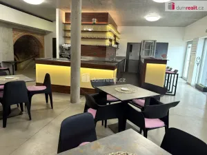 Prodej komerční nemovitosti, Pavlov, Česká, 264 m2