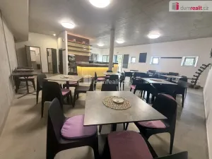 Prodej komerční nemovitosti, Pavlov, Česká, 264 m2