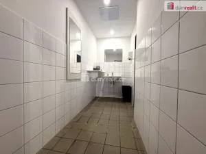 Prodej komerční nemovitosti, Pavlov, Česká, 264 m2