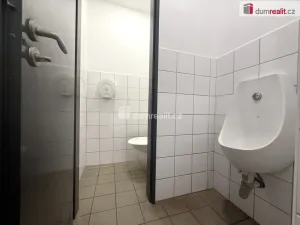 Prodej komerční nemovitosti, Pavlov, Česká, 264 m2