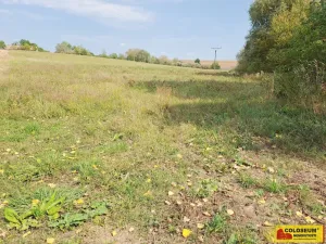 Prodej pole, Bojanovice, 35449 m2