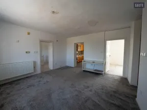 Prodej komerčního pozemku, Vlasatice, 83936 m2
