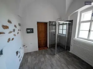 Prodej komerčního pozemku, Vlasatice, 83936 m2