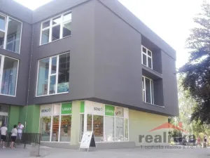 Pronájem skladu, Opava - Kylešovice, Hlavní, 240 m2