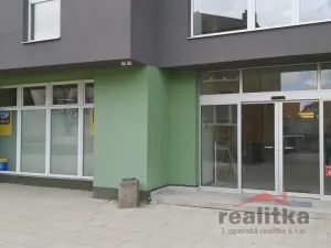 Pronájem skladu, Opava - Kylešovice, Hlavní, 240 m2