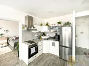 Pronájem bytu 1+1, Tábor, Kpt. Jaroše, 36 m2