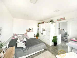 Pronájem bytu 1+1, Tábor, Kpt. Jaroše, 36 m2