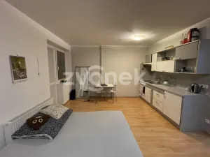 Pronájem bytu 1+kk, Zlín, Plesníkova, 32 m2