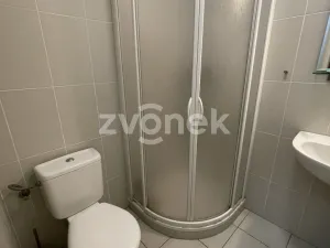 Pronájem bytu 1+kk, Zlín, Plesníkova, 32 m2