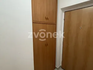Pronájem bytu 1+kk, Zlín, Plesníkova, 32 m2