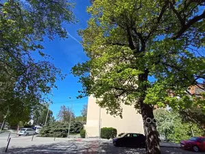 Prodej bytu 2+kk, Odolena Voda, V Malém háji, 43 m2