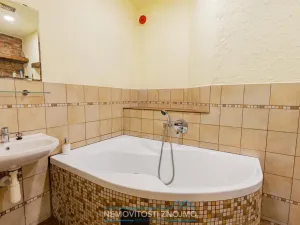 Prodej atypického bytu, Znojmo, Sokolská, 169 m2