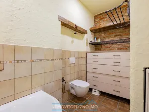 Prodej atypického bytu, Znojmo, Sokolská, 169 m2