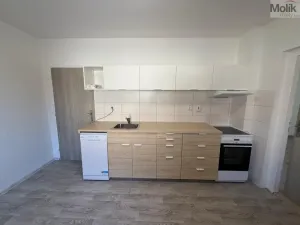 Pronájem bytu 1+1, Peruc, V Edenu, 44 m2