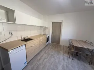 Pronájem bytu 1+1, Peruc, V Edenu, 44 m2