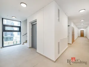 Prodej bytu 1+kk, Plzeň - Jižní Předměstí, Železná, 37 m2