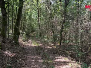 Prodej pole, Úštěk, 8460 m2