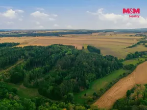 Prodej lesa, Břežany, 5988 m2