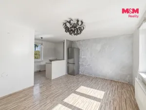 Pronájem rodinného domu, Dolní Beřkovice, Dolní hájek, 100 m2