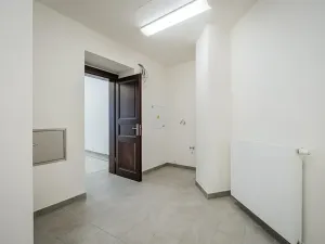 Pronájem obchodního prostoru, Praha - Nové Město, Petrská, 96 m2