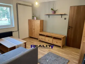 Pronájem bytu 1+1, Podbořany, Velká osada, 37 m2