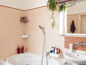 Pronájem bytu 4+1, Opava - Předměstí, Zacpalova, 144 m2