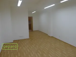 Pronájem bytu 1+kk, Praha - Holešovice, Pplk. Sochora, 41 m2