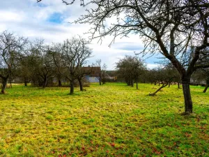 Prodej pozemku pro bydlení, Stádlec, 1515 m2