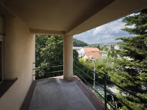 Dražba vily, Ledeč nad Sázavou, Jaroslava Haška, 365 m2