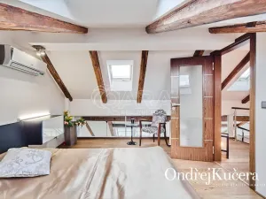 Prodej bytu 3+kk, Praha - Nové Město, Lublaňská, 122 m2