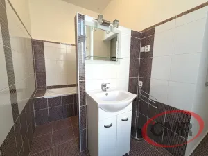 Pronájem bytu 1+1, Praha, Masná, 44 m2