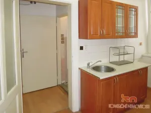 Pronájem bytu 1+1, Brno, Gorkého, 45 m2