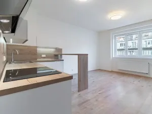 Pronájem bytu 1+kk, Praha - Košíře, Vrchlického, 31 m2