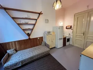 Pronájem bytu 1+1, Jihlava, Bezručova, 52 m2