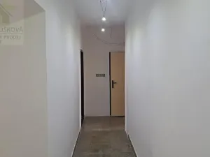 Pronájem bytu 3+1, Ostrava, Alšovo náměstí, 72 m2