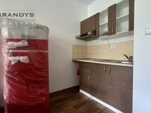 Pronájem bytu 1+kk, Praha - Modřany, Platónova, 29 m2